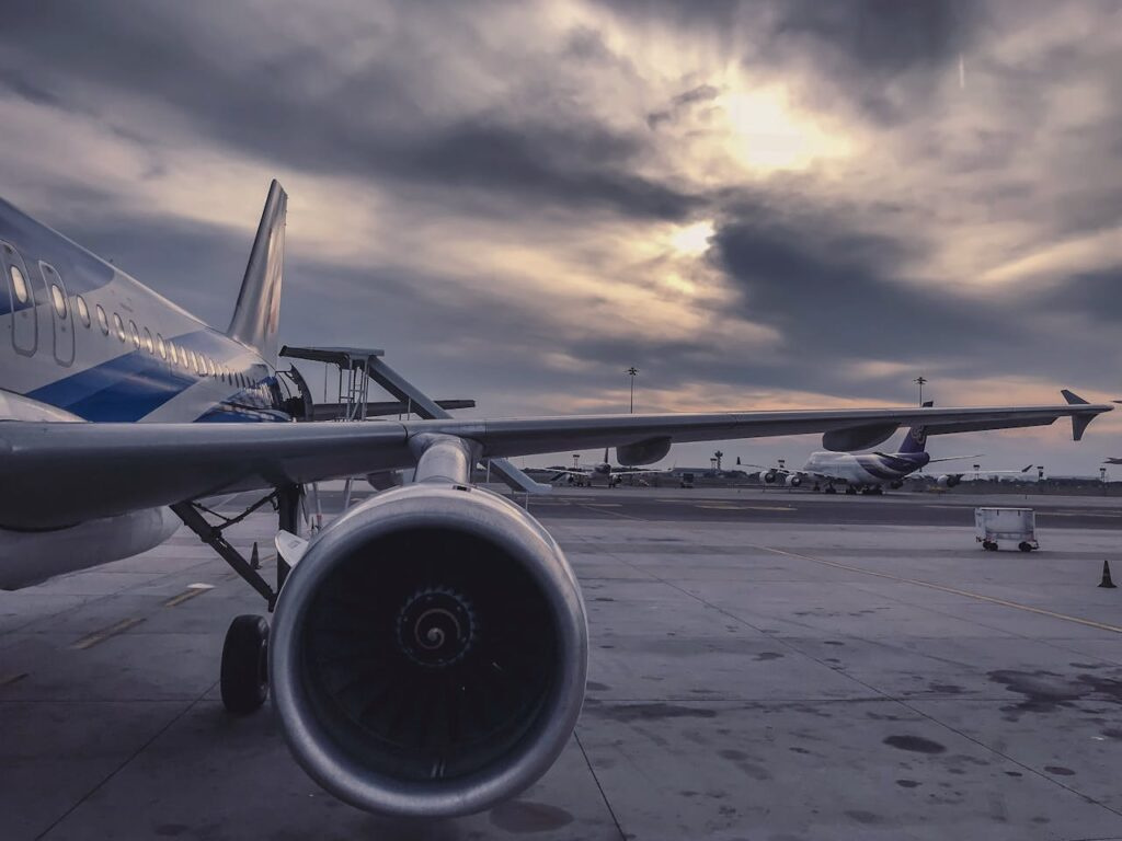 Bird Strike Safety: Essential Tips for Worry-Free Air Travel