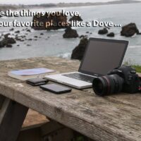 Do You really need a monthly website management service ?