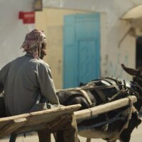 Tunisia's Democratic Collapse: How President Kais Saied Dismantled the Arab Spring's Last Success Story