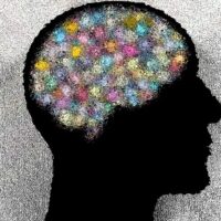 What is a surprising historical fact that you recently learned?