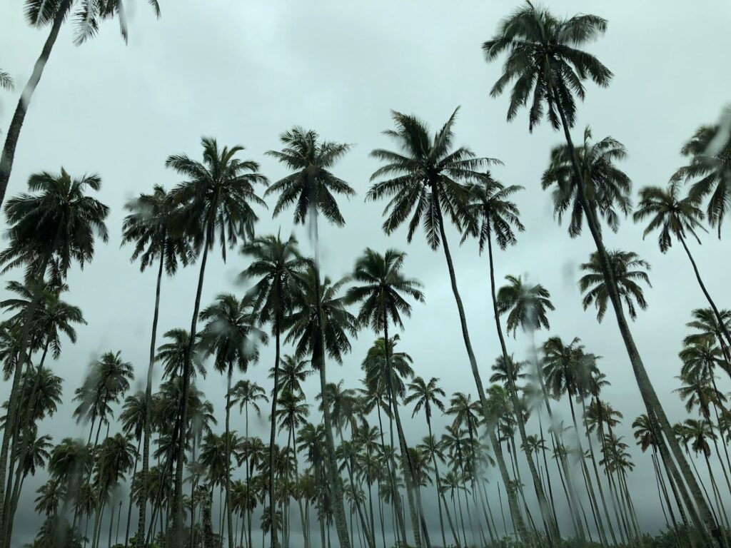 10 of the worst hurricanes to hit the US