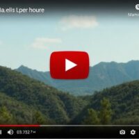 The Definitive Guide to Managing YouTube Video Visibility: How to Hide, Unlist, or Delete Content Effectively