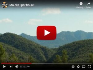 The Definitive Guide to Managing YouTube Video Visibility: How to Hide, Unlist, or Delete Content Effectively