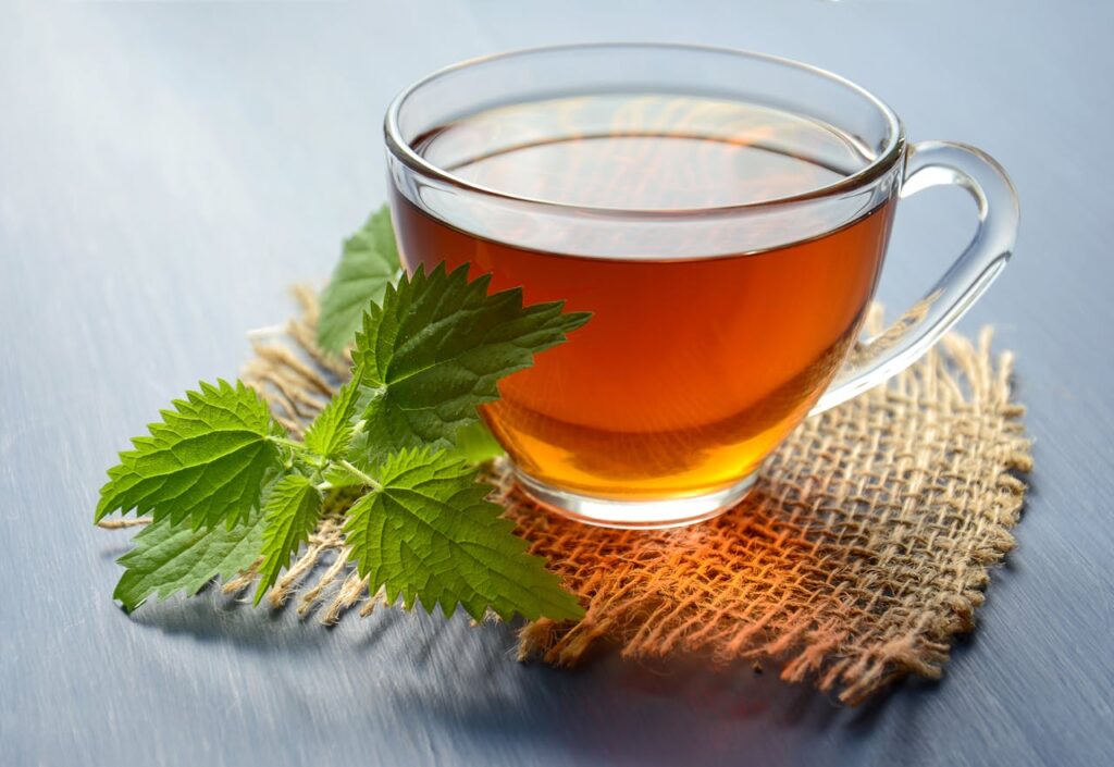 Fat-Burning Foods : Blueberries, Green Tea, and More