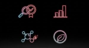 The Selection Criteria How the 8 Best Were Chosen