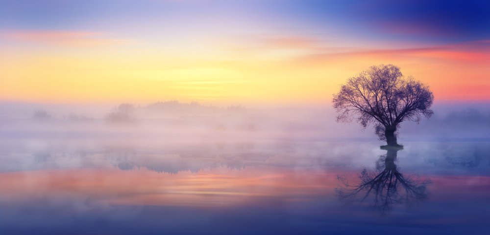 The best dual-monitor wallpapers you can download