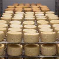 Best Keto Cheese List 2025: Full-Fat, Low-Carb Cheeses to Eat and Avoid