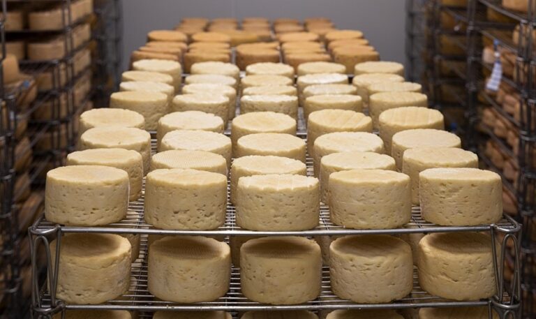 Best Keto Cheese List 2025: Full-Fat, Low-Carb Cheeses to Eat and Avoid