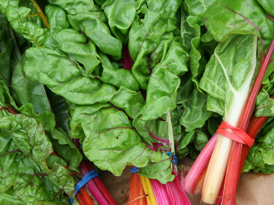 Swiss Chard