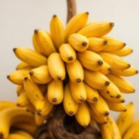 11 Science-Backed Health Benefits of Bananas: Nutrition Facts, Heart Health, Digestion, and More