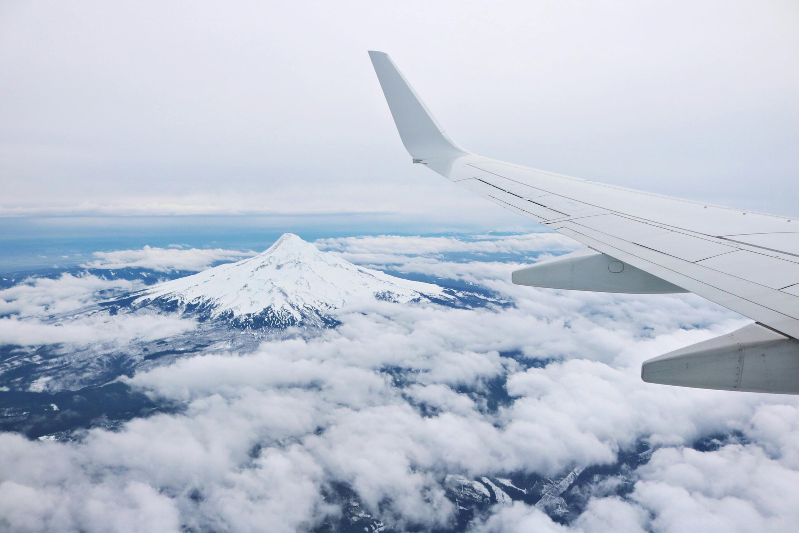 Feature image Bird Strike Safety: Essential Tips for Worry-Free Air Travel