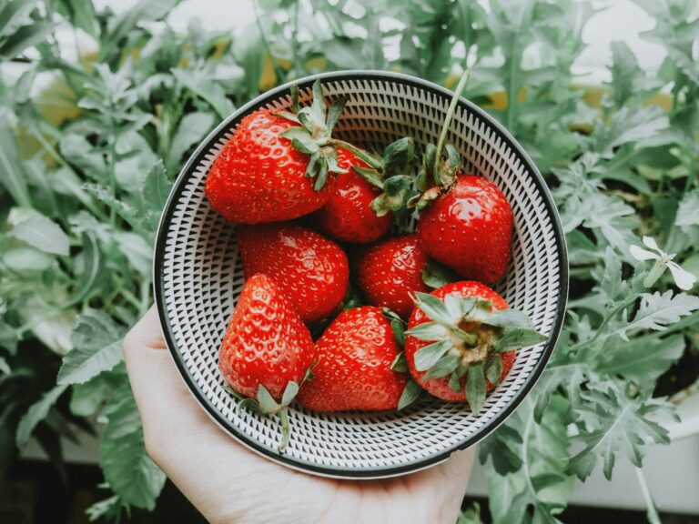 Strawberries 101: Nutrition Facts and Health Benefits