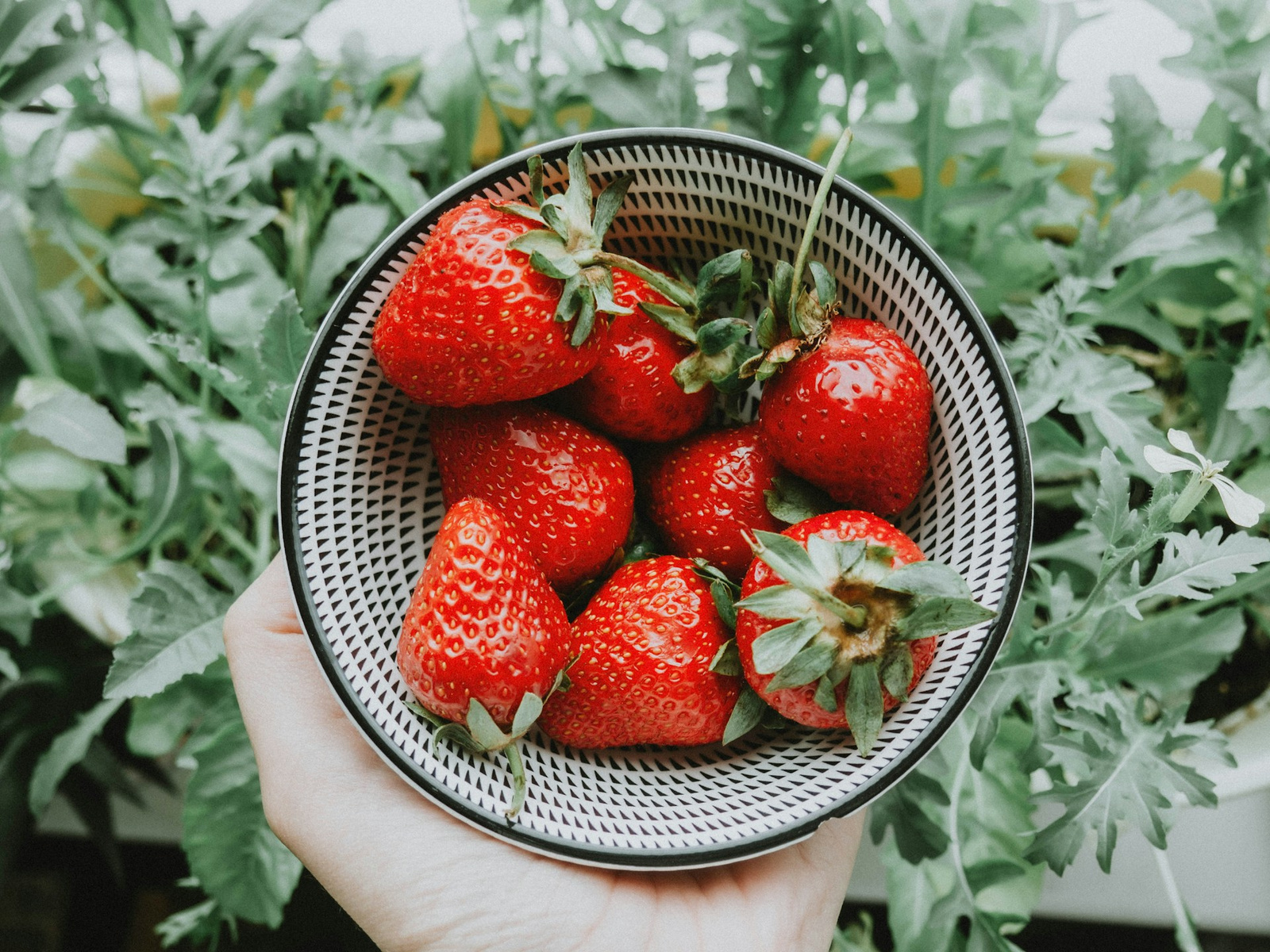 Feature image Strawberries 101: Nutrition Facts and Health Benefits