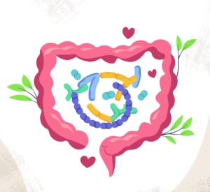 Probiotics and Prebiotics: What You Should Know