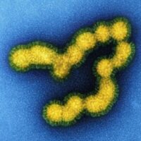 Chikungunya Outbreak China 2025: Symptoms, Spread & Prevention 1 Chikungunya Outbreak China 2025: Symptoms, Spread & Prevention