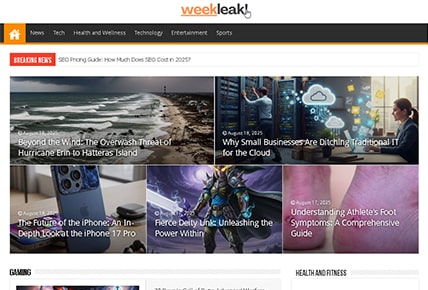 Weekleaks Blog website designed by Smartupworld