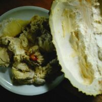 The Ultimate Guide to Gout Diet: What’s Allowed and What’s Not