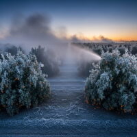 Florida Hard Freeze Warning: Record-Breaking Arctic Blast and Winter Weather Forecast for 2026